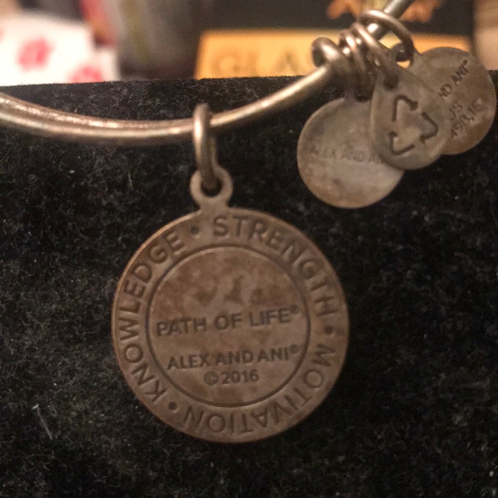 Alex and Ani Path of Life Bracelet
